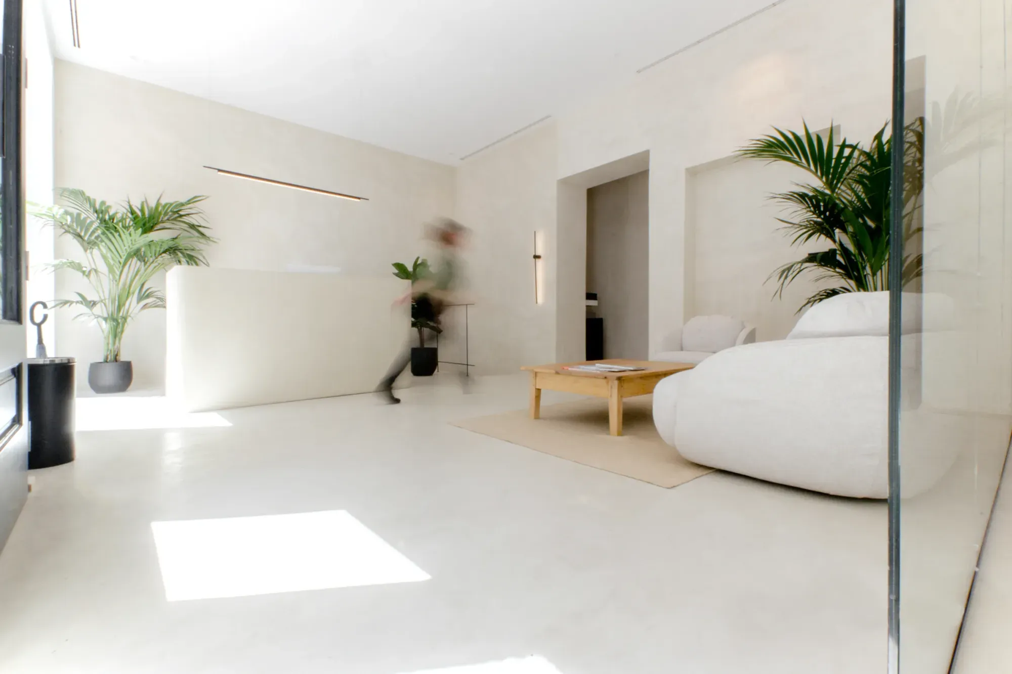 Minimalist interior design